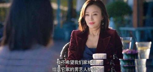 娱乐圈吃瓜无聊的小说,瓜田里的明星秘闻
